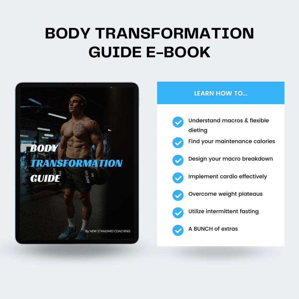 Body Transformation Guide